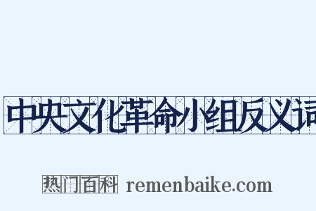 中央文化革命小组反义词是什么意思的图片